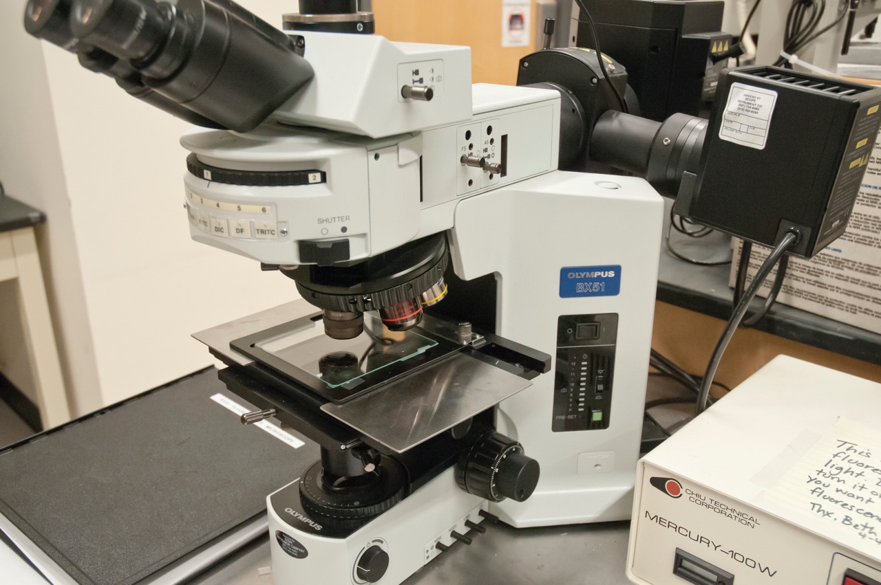 Olympus BX51 Fluorescence Microscope (2nd Floor) CNF Users